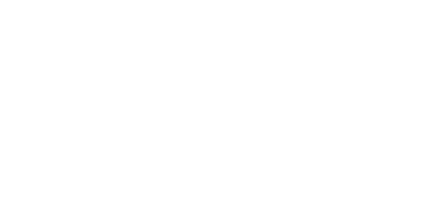 villoria_logo_bl